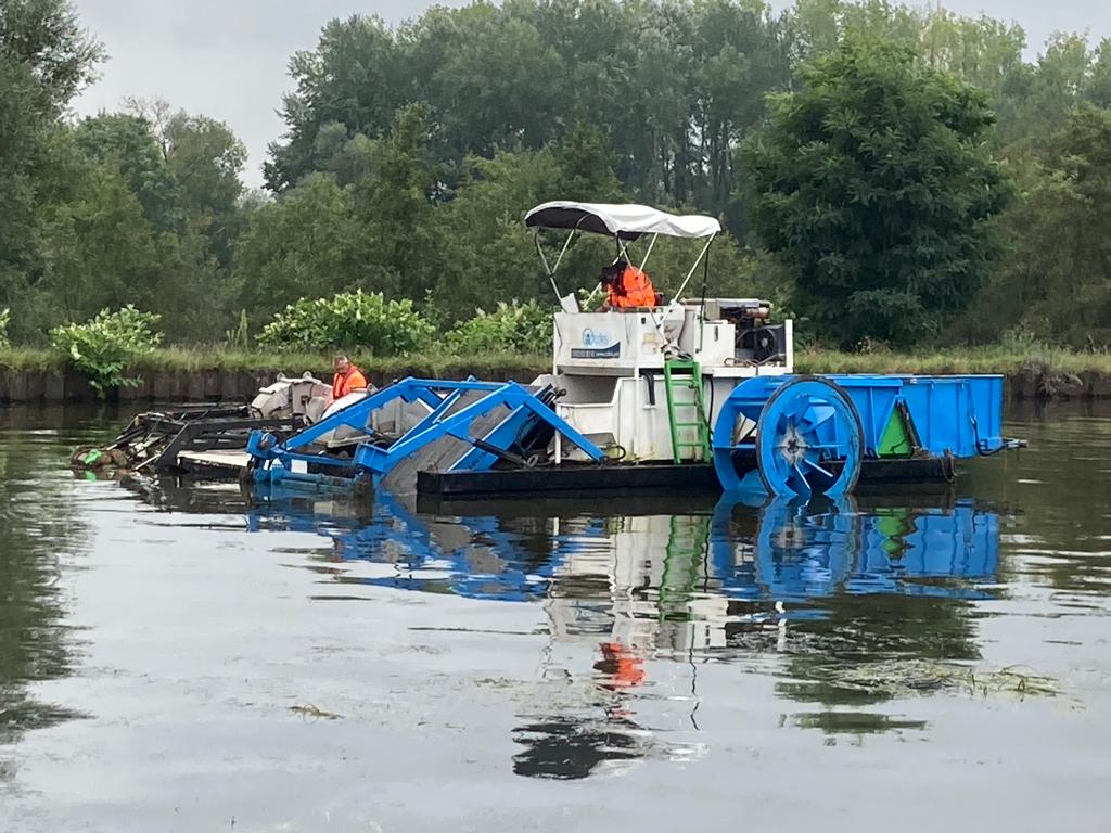 Faucardage sur le port de Briennon